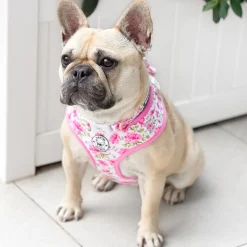 Peony Blooms - Adjustable Harness