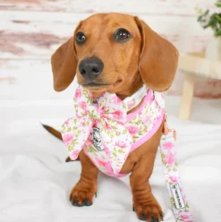 Peony Blooms - Adjustable Harness