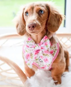 Peony Blooms - Sailor Bow Tie