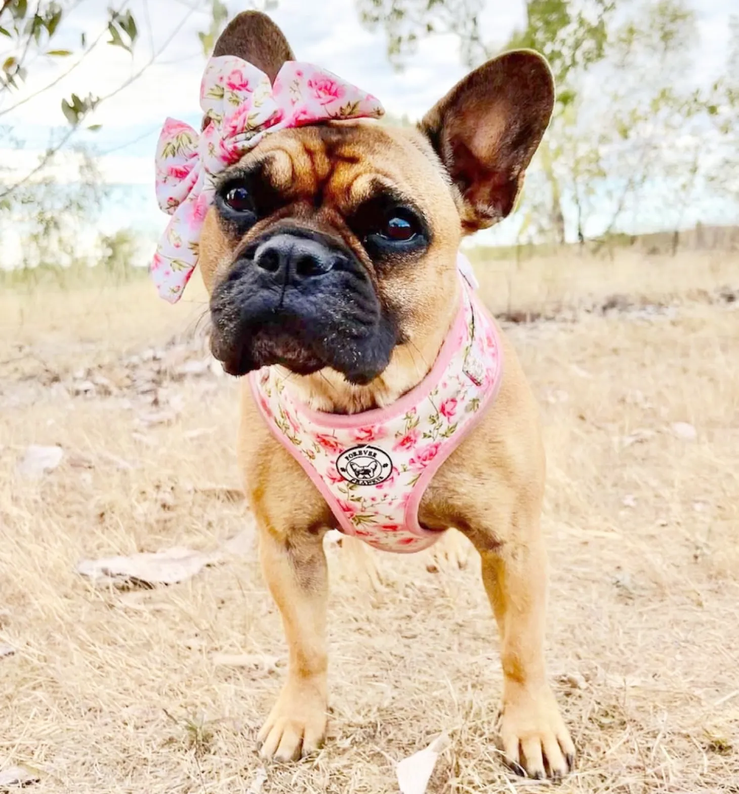 Peony Blooms - Sailor Bow Tie