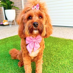 Pink - Sailor Bow Tie