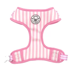 Pink Candy Stripe - Adjustable Harness