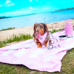 Pink Candy Stripe - Beach & Bath Towel - End Of Line