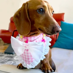 Pink Gingham Bandana