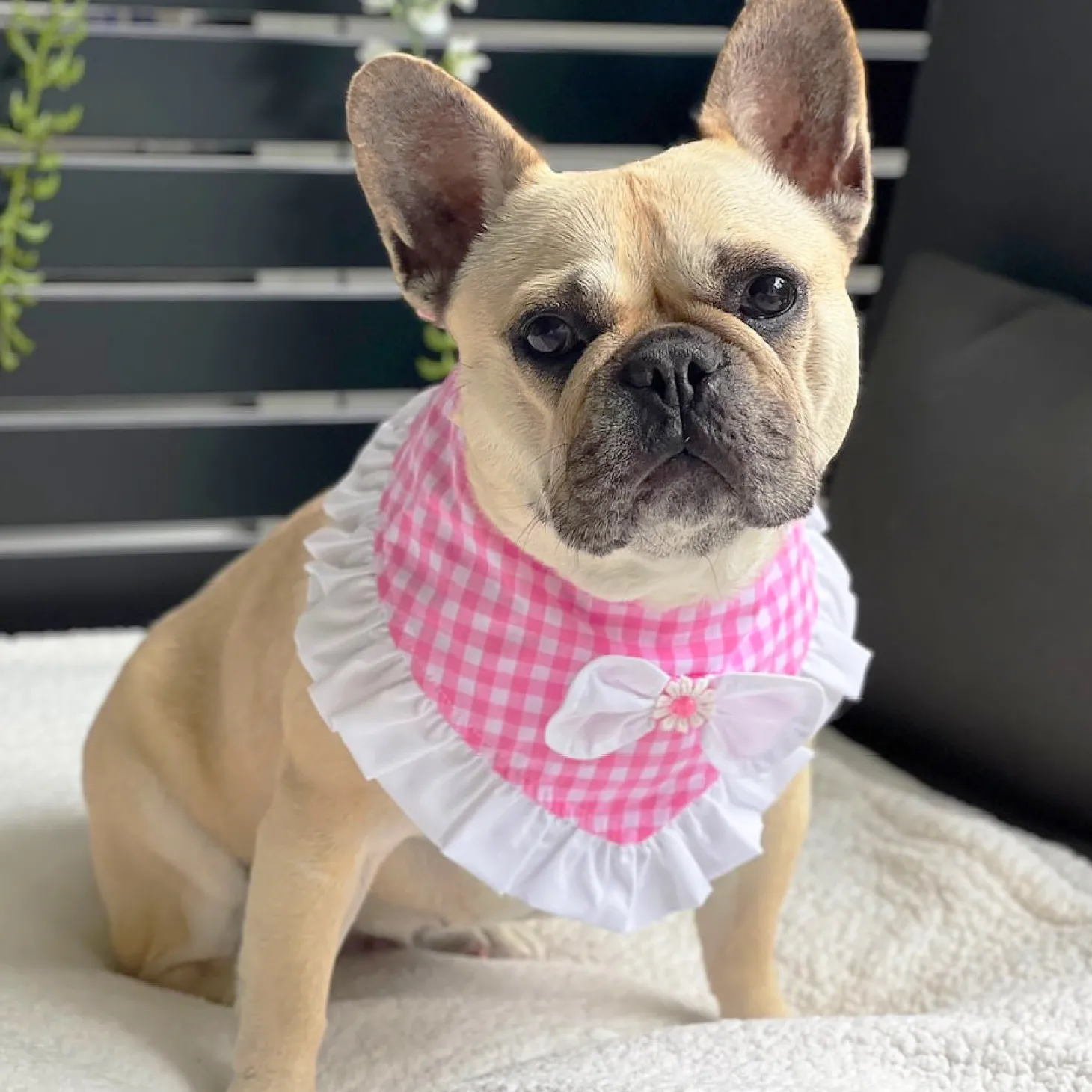 Pink Gingham Bandana