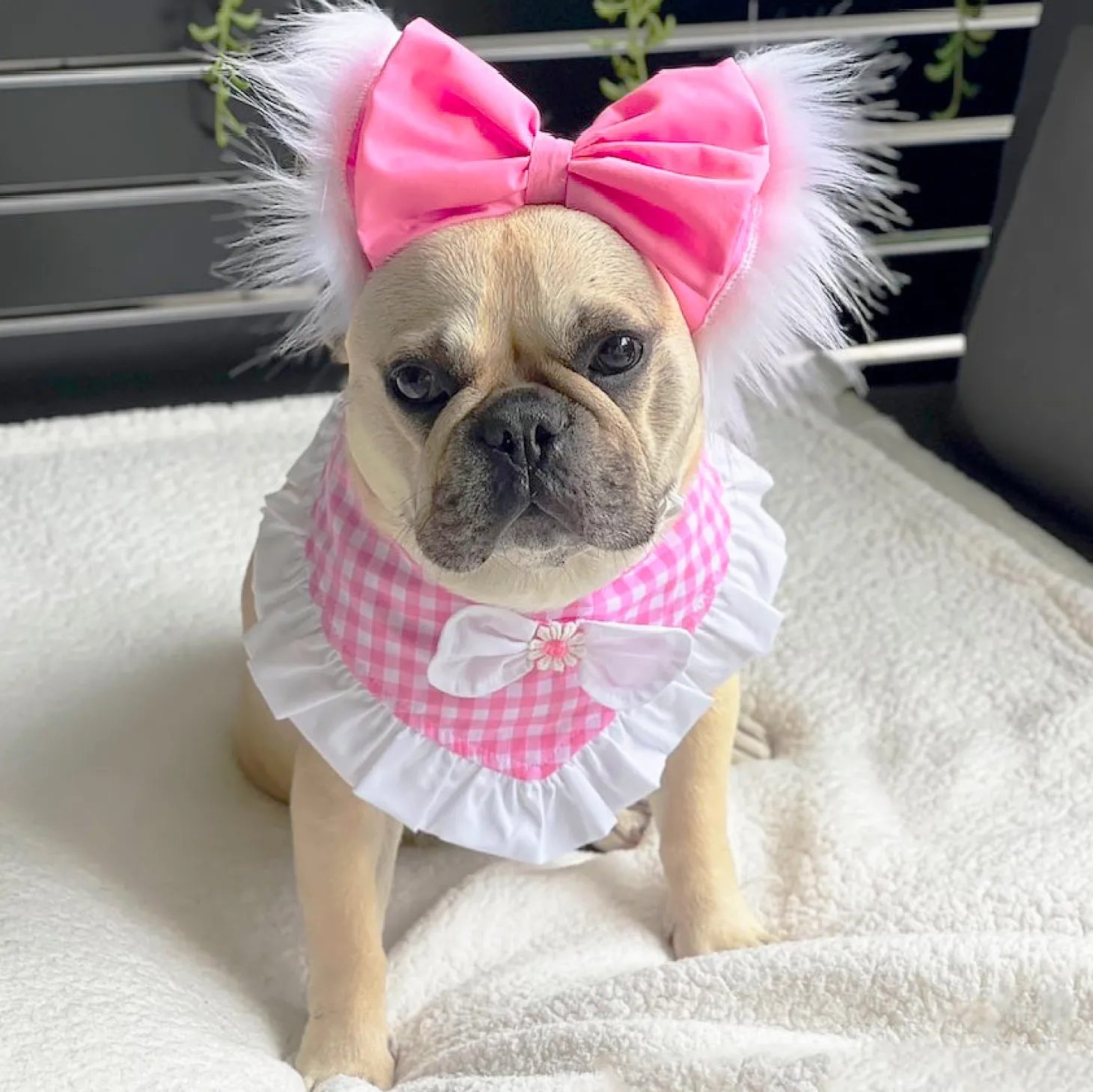 Pink Gingham Bandana