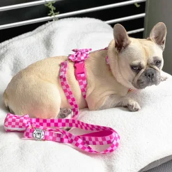 Pink Lemonade Check - Luxe Dog Lead