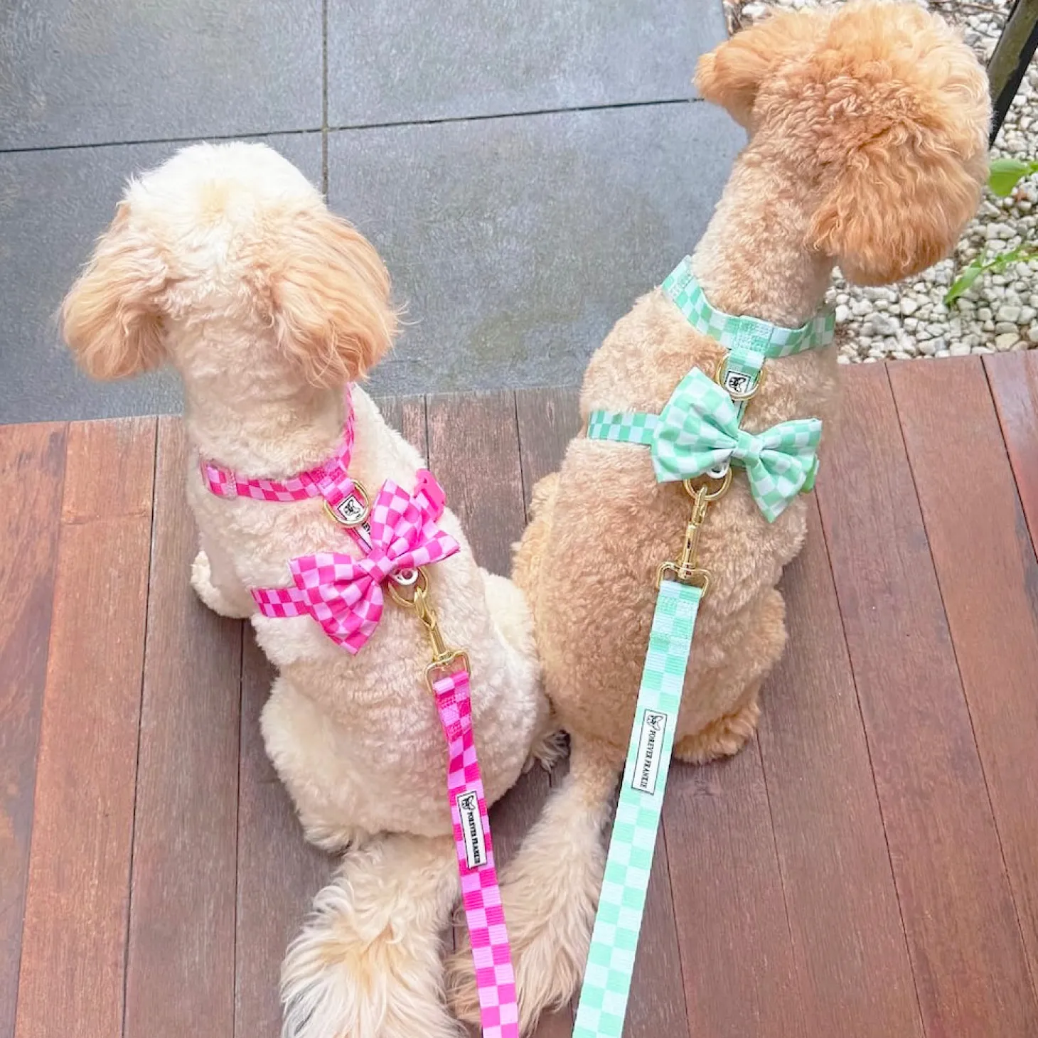 Pink Lemonade Check - Luxe Strap Harness
