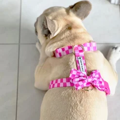 Pink Lemonade Check - Luxe Strap Harness