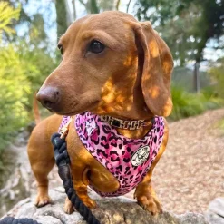 Pink Leopard - Adjustable Harness
