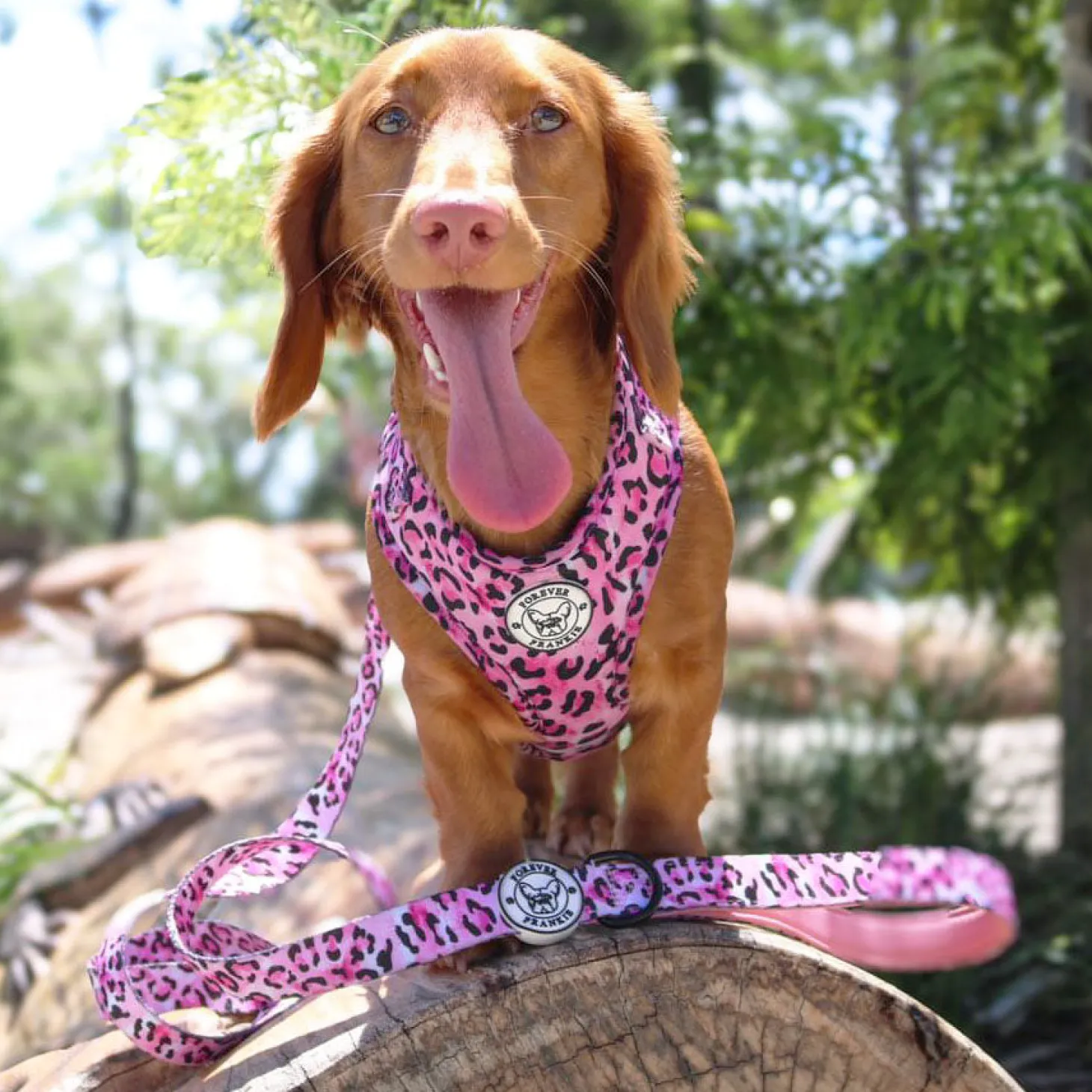 Pink Leopard - Adjustable Harness