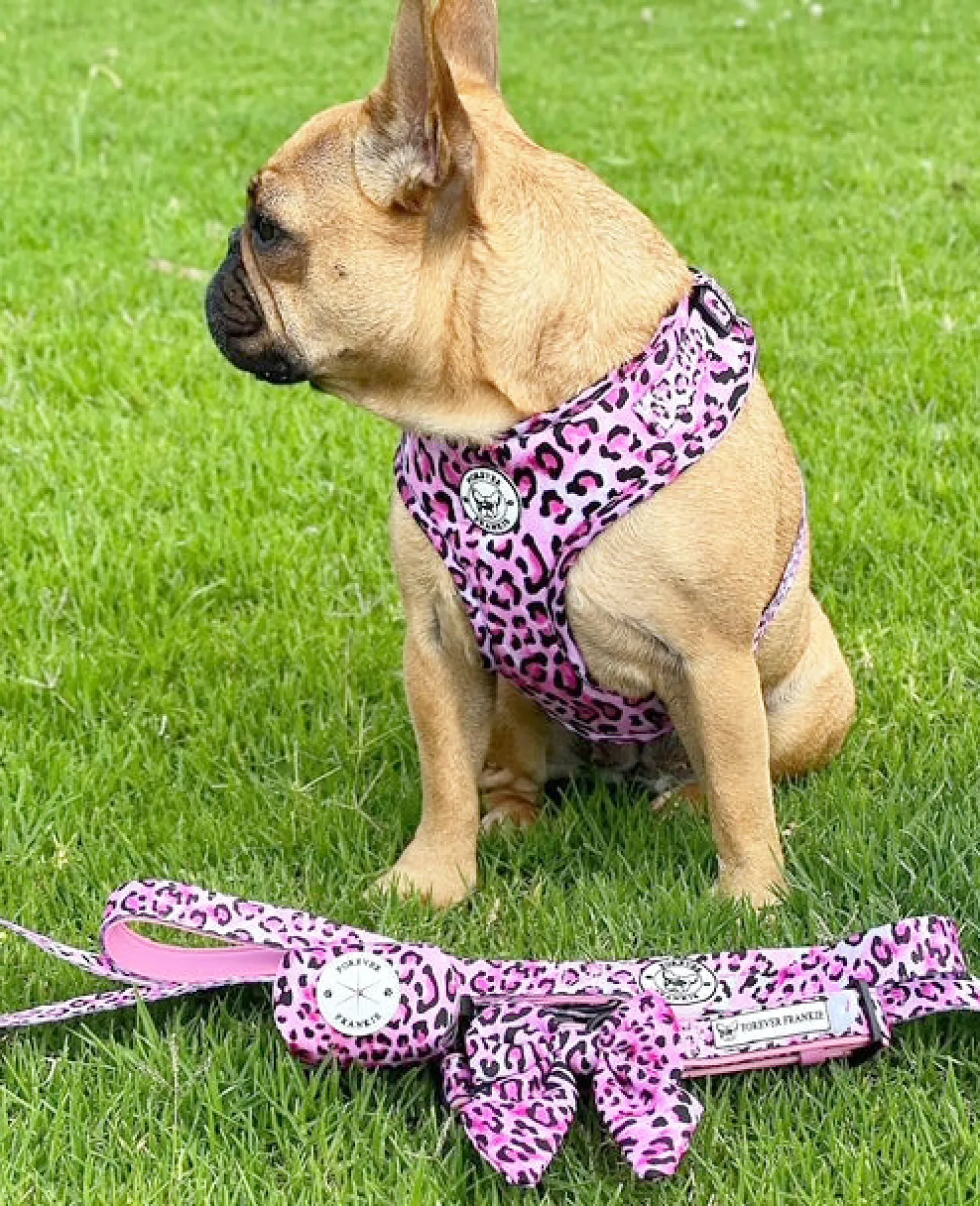 Pink Leopard - Adjustable Harness