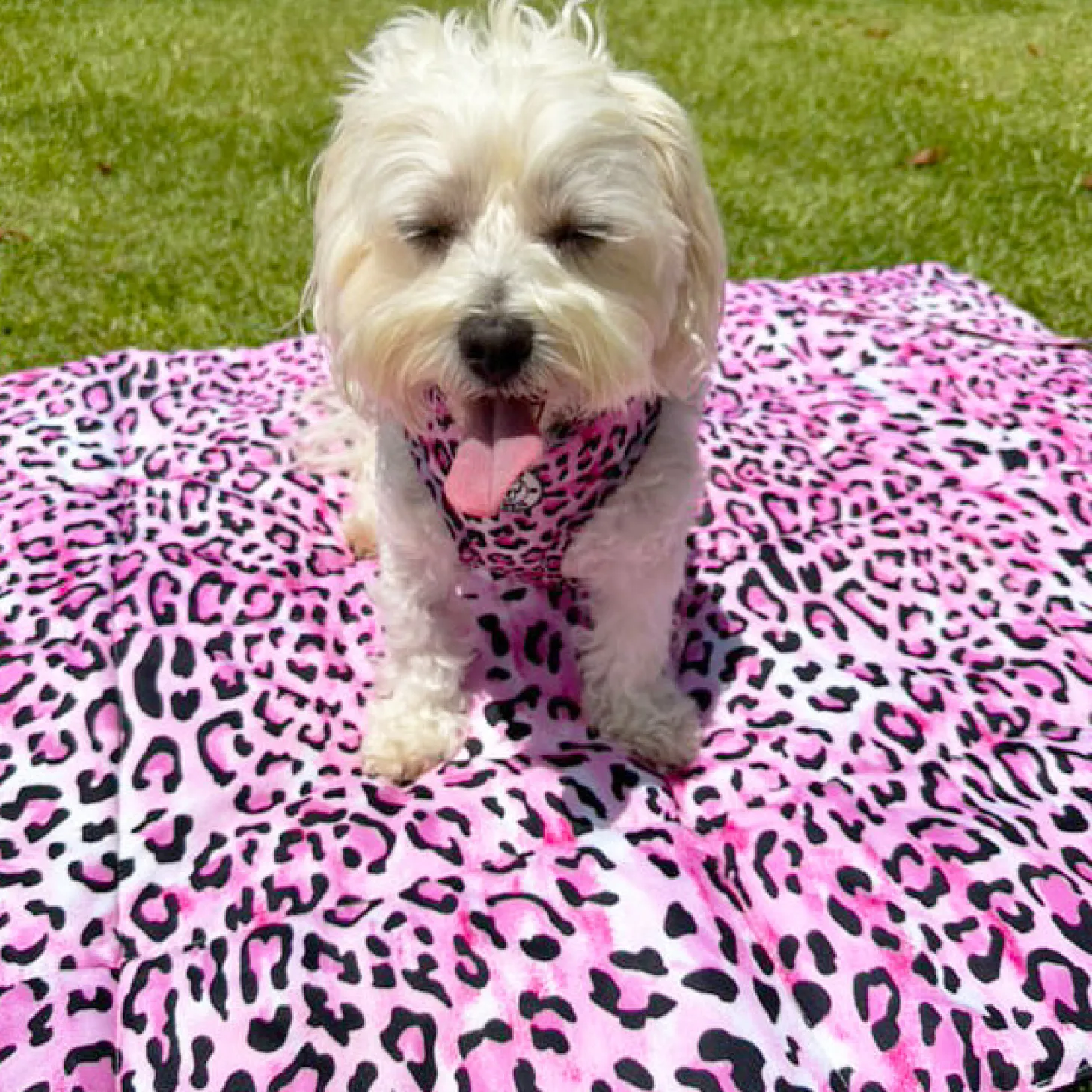 Pink Leopard - Adventure Mat