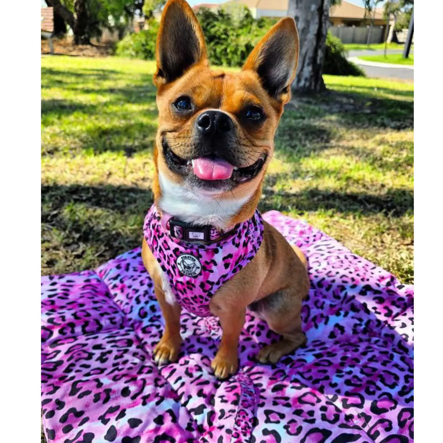 Pink Leopard - Adventure Mat