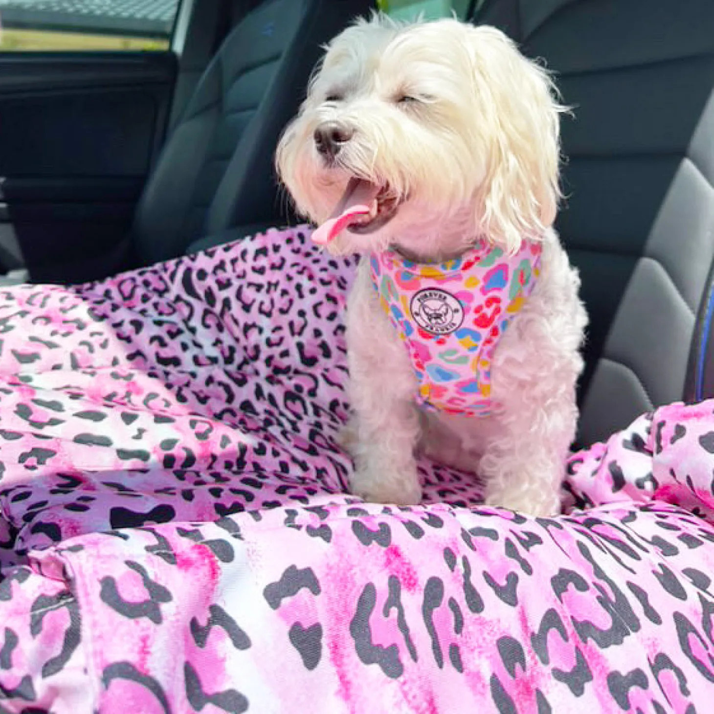 Pink Leopard - Adventure Mat