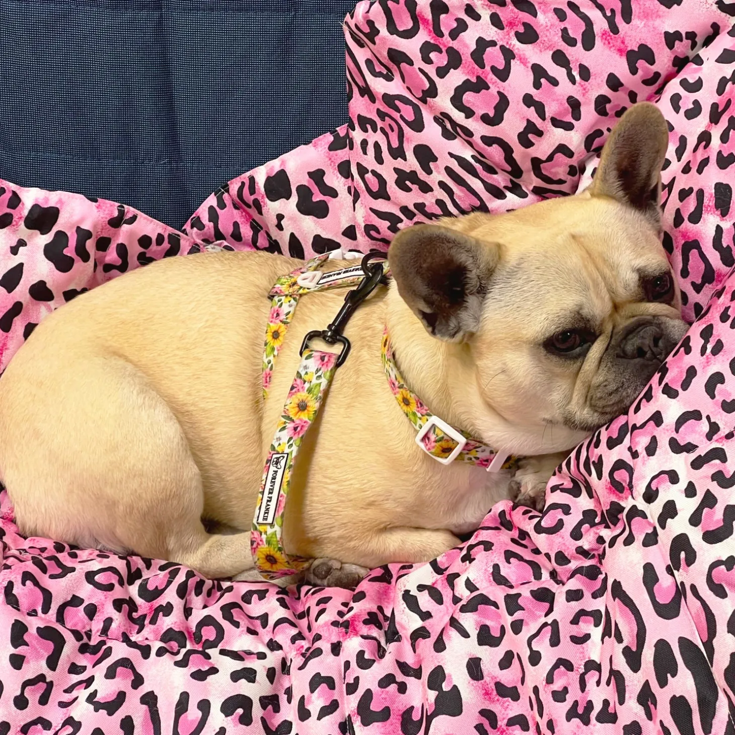 Pink Leopard - Adventure Mat