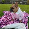 Pink Leopard - Extra Soft Pet Blanket