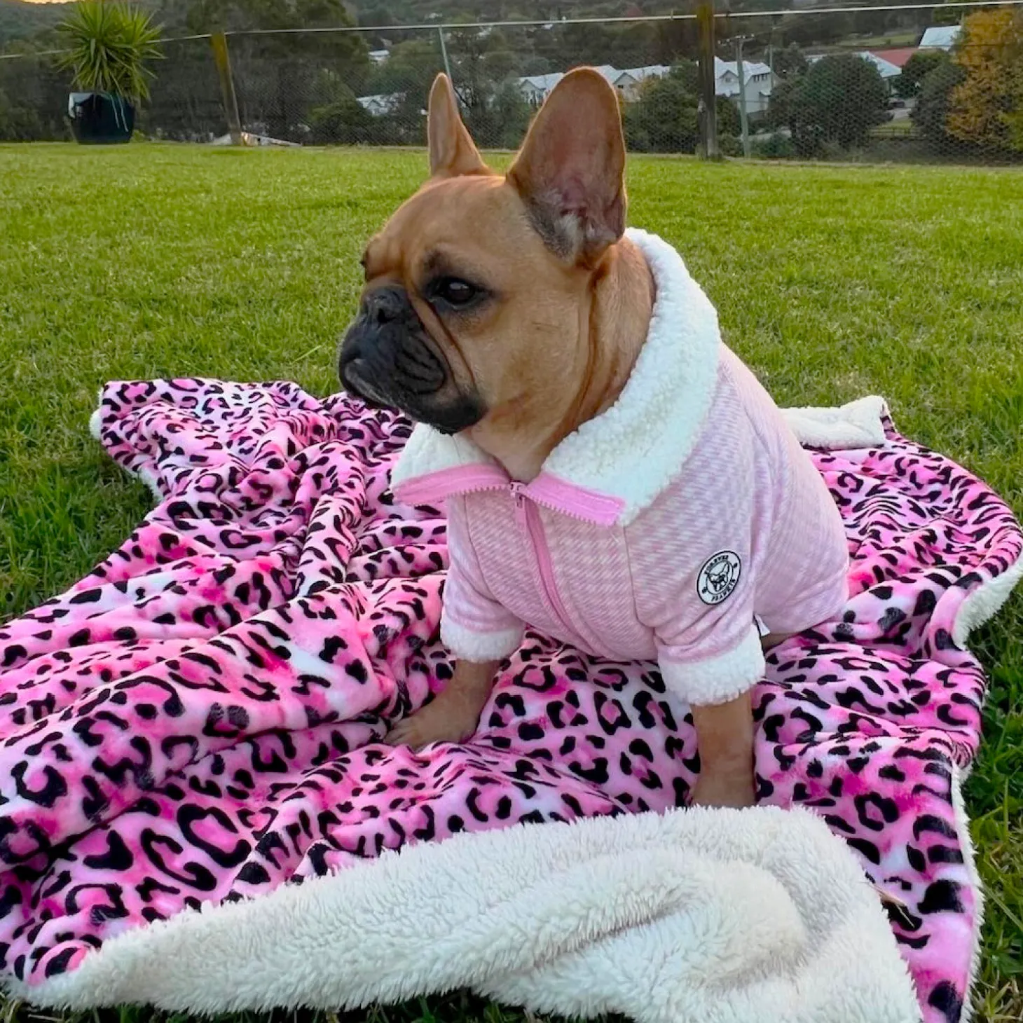 Pink Leopard - Extra Soft Pet Blanket
