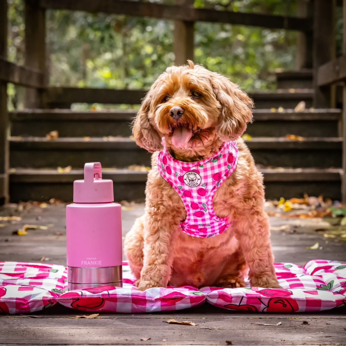 Pink Portable Human / Dog Stainless Steel Adventure Drink Bottles