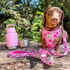 Pink Portable Human / Dog Stainless Steel Adventure Drink Bottles