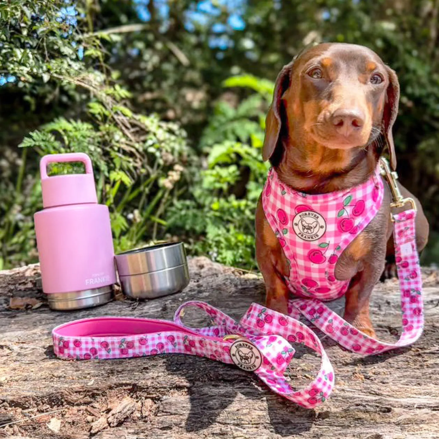 Pink Portable Human / Dog Stainless Steel Adventure Drink Bottles