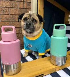 Pink Portable Human / Dog Stainless Steel Adventure Drink Bottles