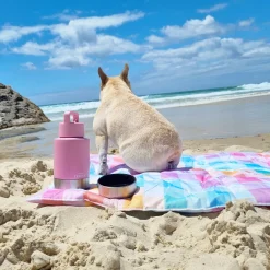 Pink Portable Human / Dog Stainless Steel Adventure Drink Bottles