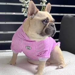 Pretty in Plaid Dog Skivvie (Limited Edition)