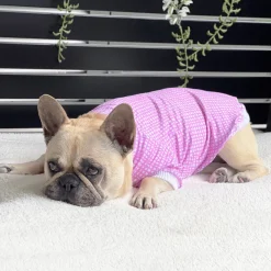 Pretty in Plaid Dog Skivvie (Limited Edition)