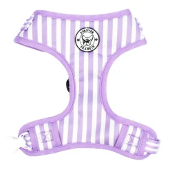 Purple Candy Stripe - Adjustable Harness