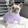 Purple Checkered Dreams Dog Skivvie (Limited Edition)