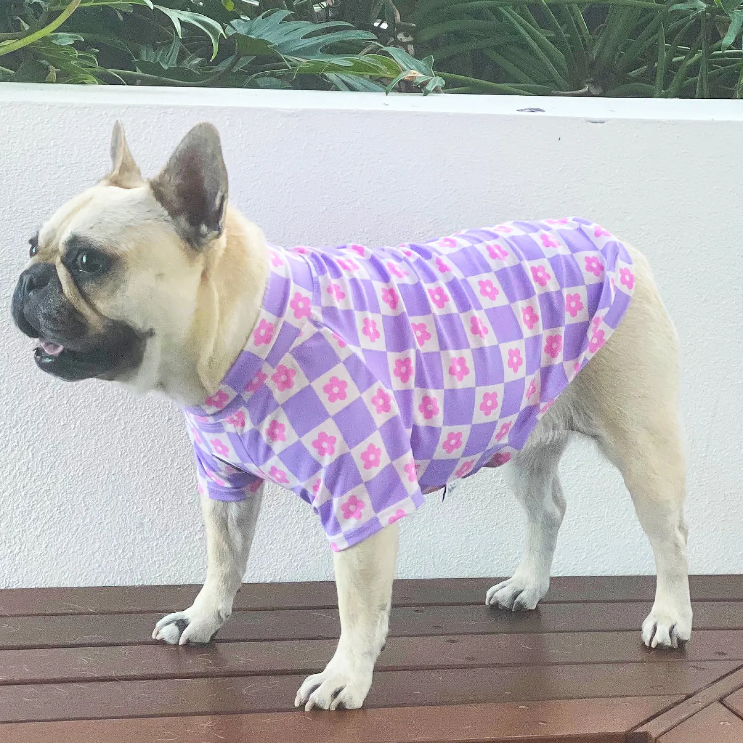 Purple Checkered Dreams- Sun & Sand Rashie UV 50+