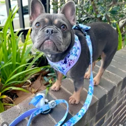 Purple Floral -Adjustable Harness