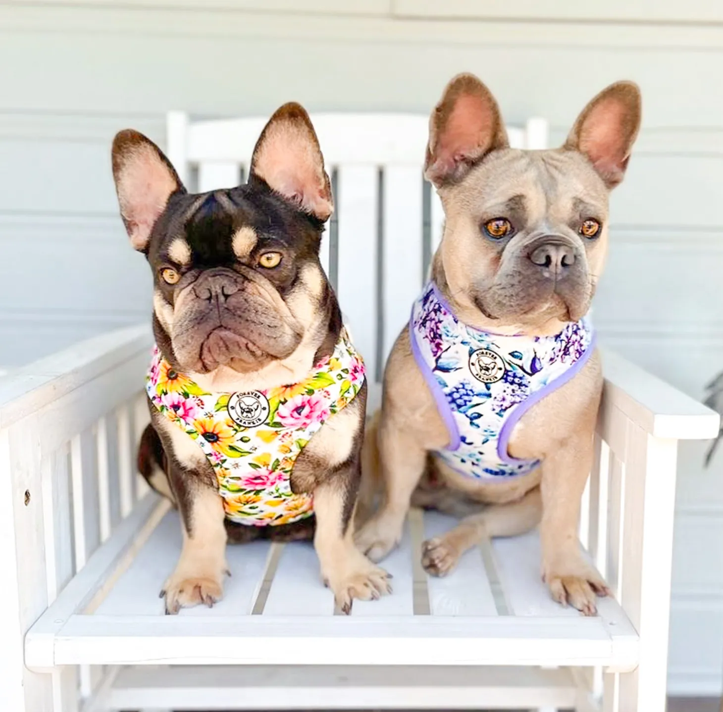 Purple Floral -Adjustable Harness