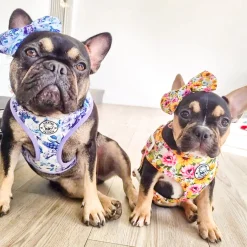 Purple Floral -Adjustable Harness