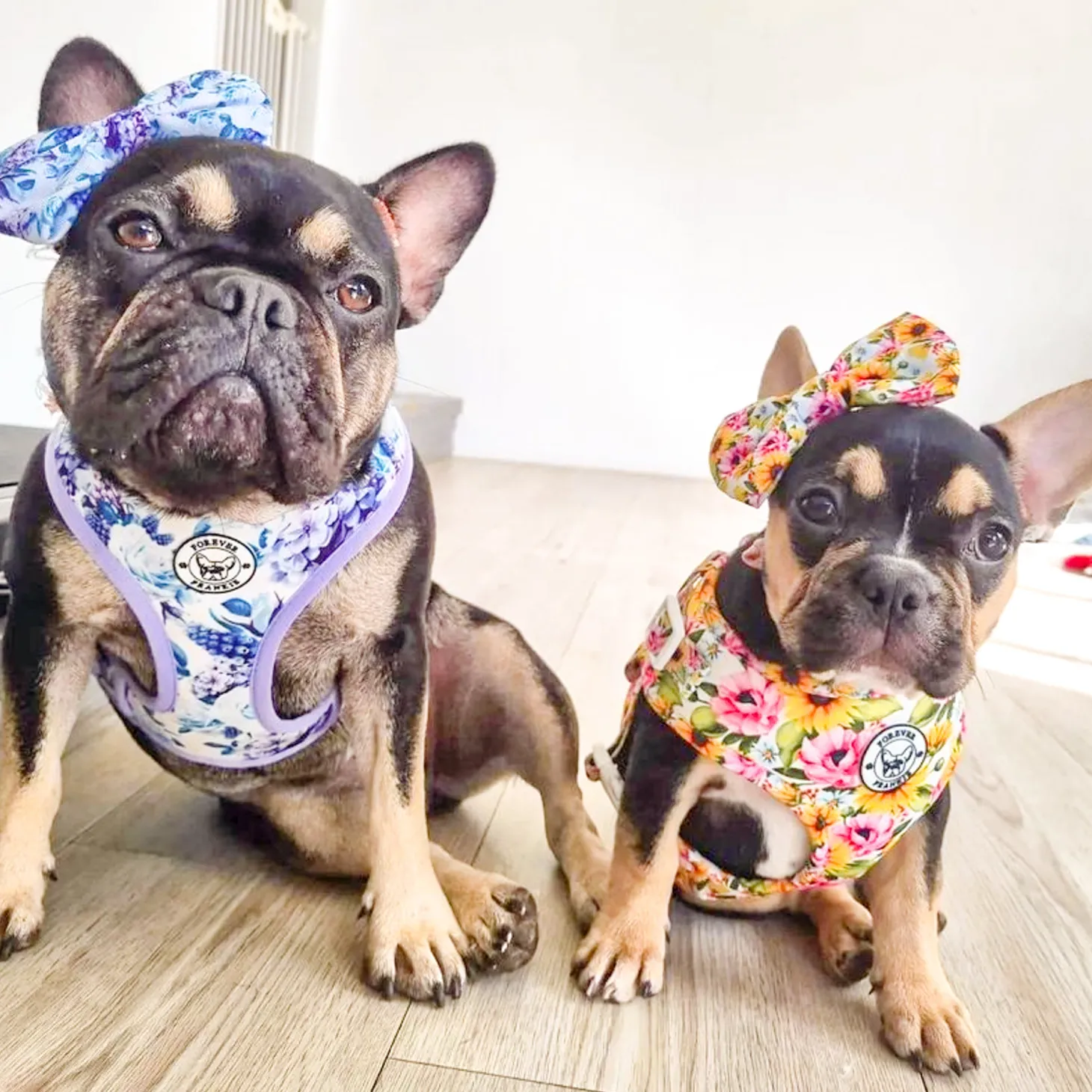 Purple Floral -Adjustable Harness