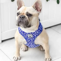 Purple Wild Thing - Adjustable Harness