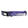 Purple Wild Thing - Collar