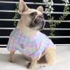 Rainbow Gingham Dog Skivvie (Limited Edition)