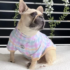 Rainbow Gingham Dog Skivvie (Limited Edition)