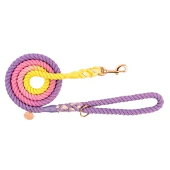 Rainbow Unicorn Ombre - Rope Dog Lead