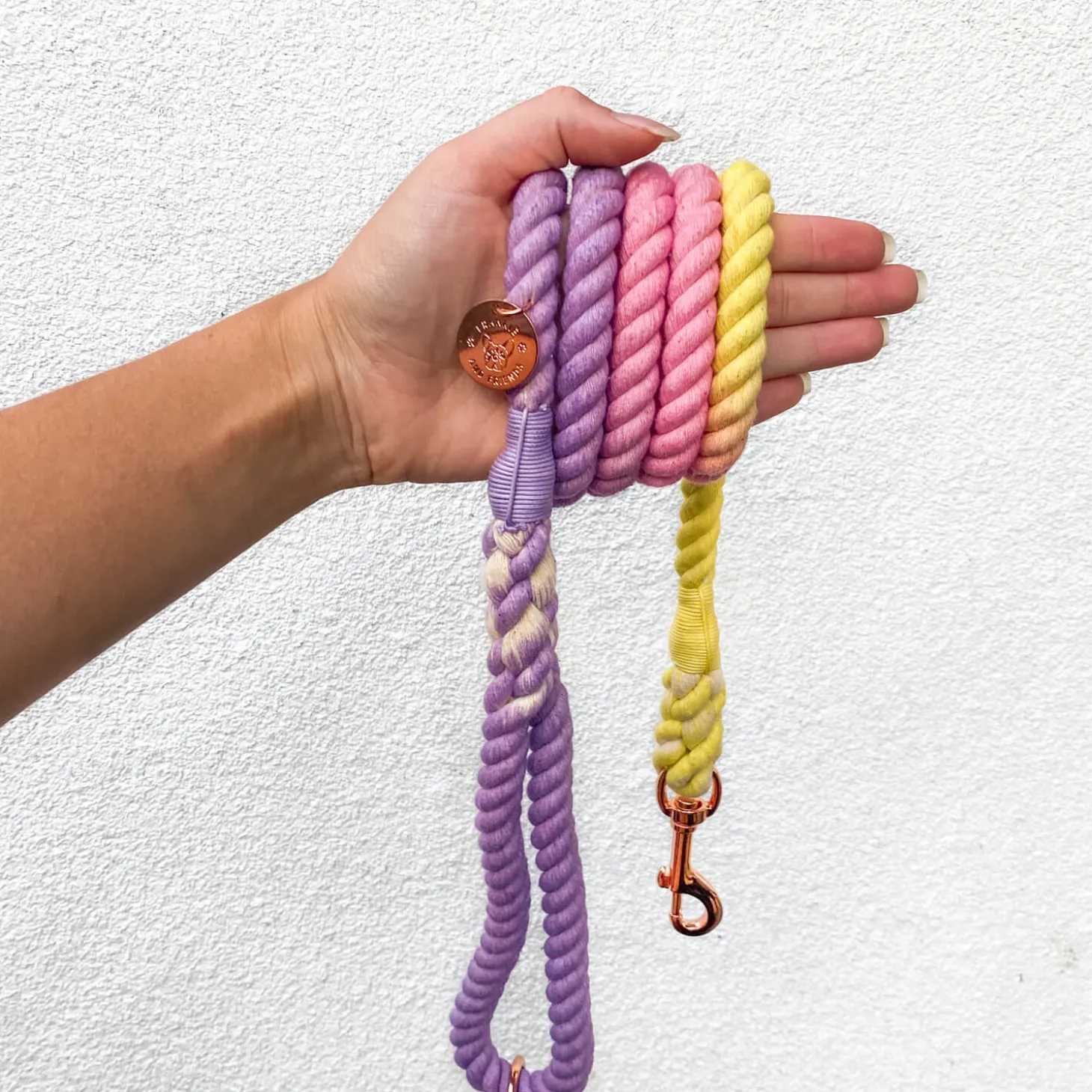 Rainbow Unicorn Ombre - Rope Dog Lead