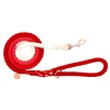 Red Ombre - Rope Dog Lead