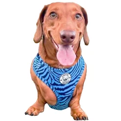 Safari Blues - Adjustable Harness