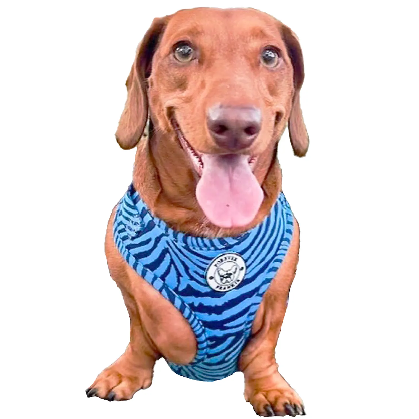 Safari Blues - Adjustable Harness