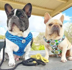 Safari Blues - Adjustable Harness