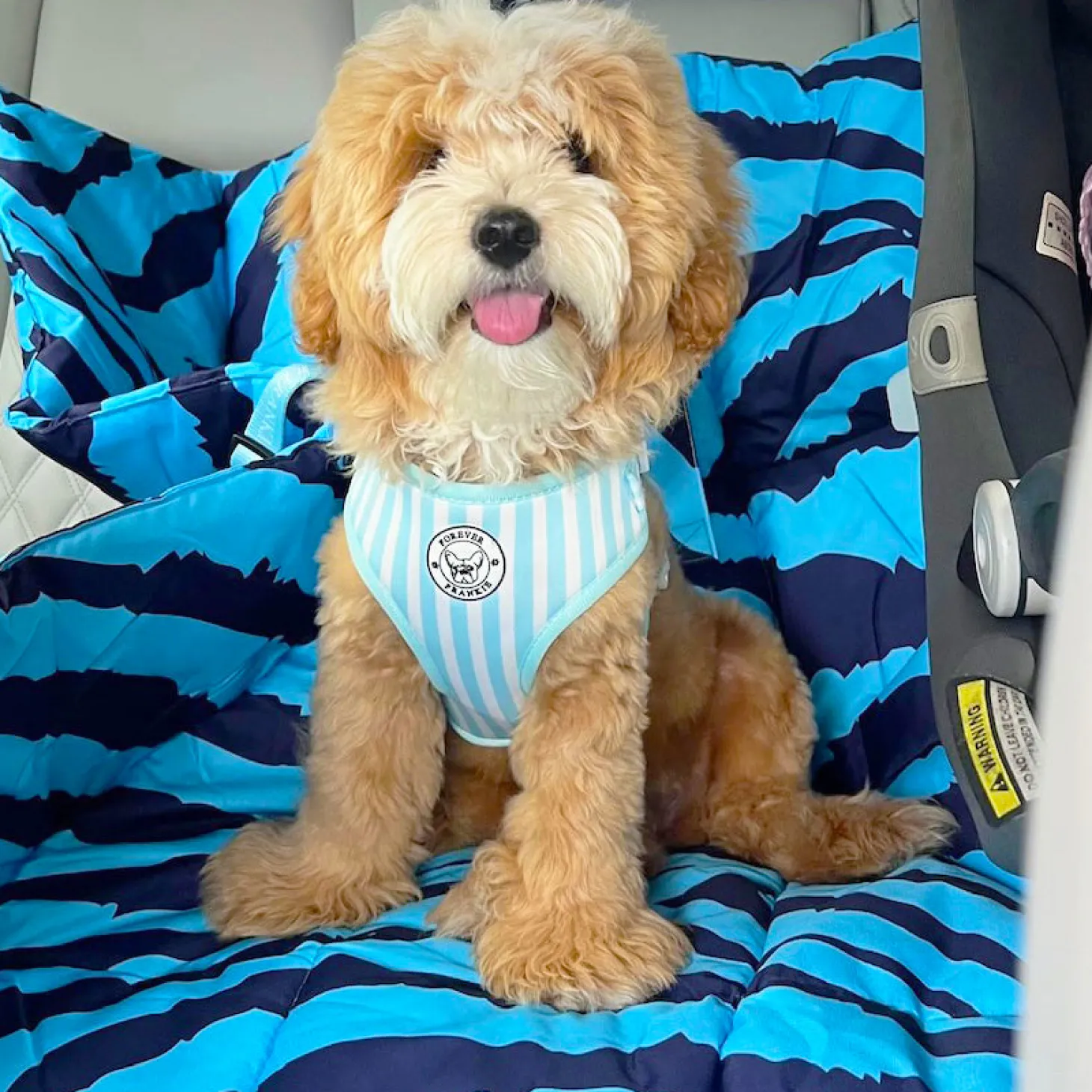 Safari Blues - Adventure Mat - End Of Line