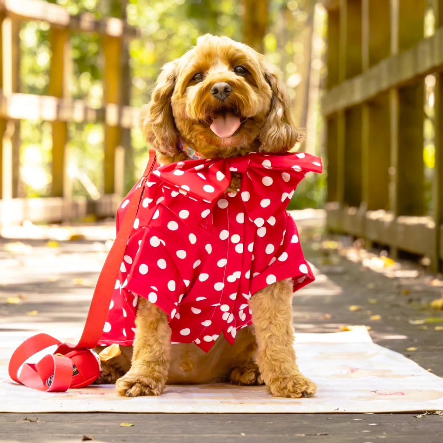 Scarlet Dream with Snowy Spots - Party Shirt
