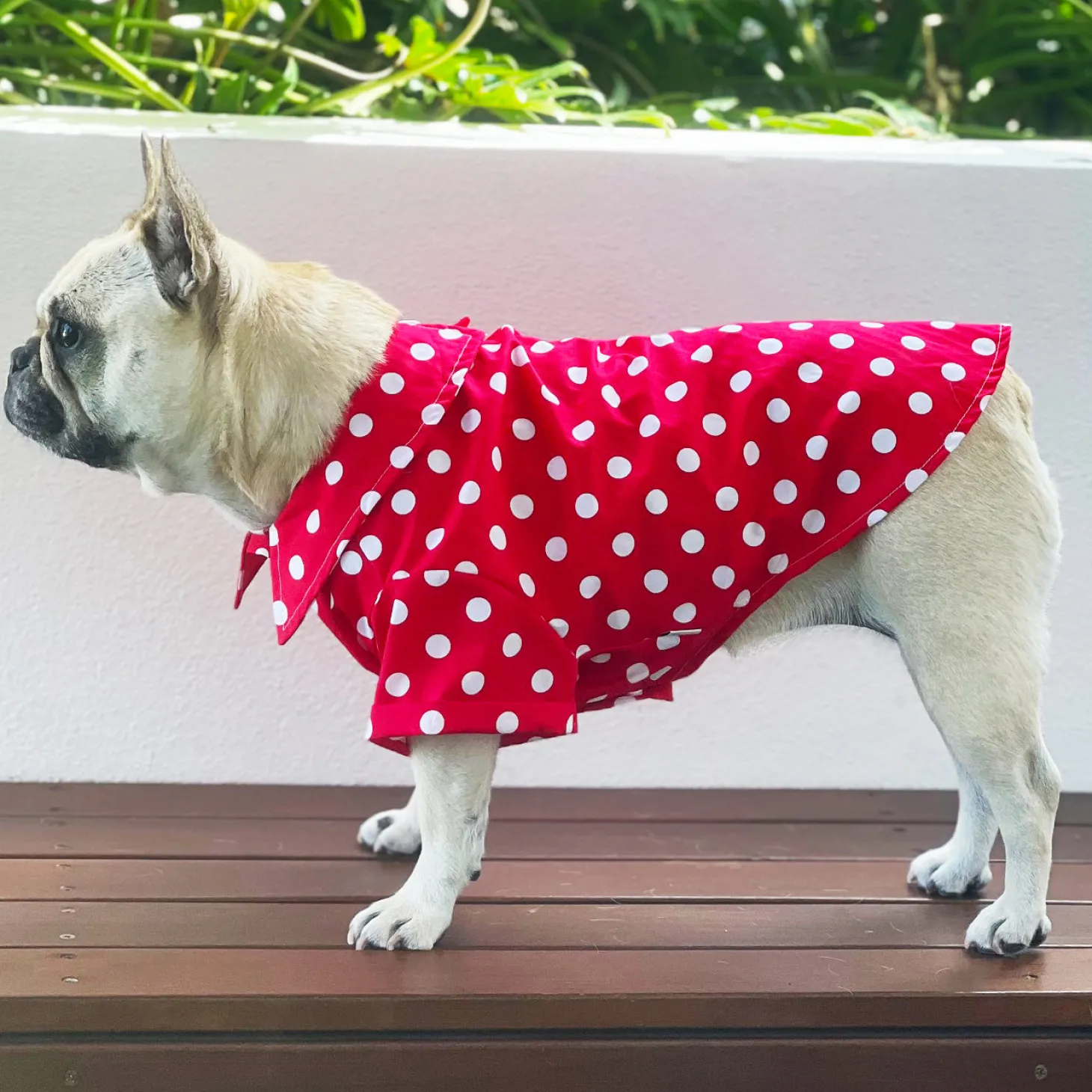 Scarlet Dream with Snowy Spots - Party Shirt