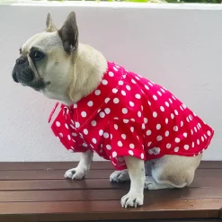 Scarlet Dream with Snowy Spots - Party Shirt